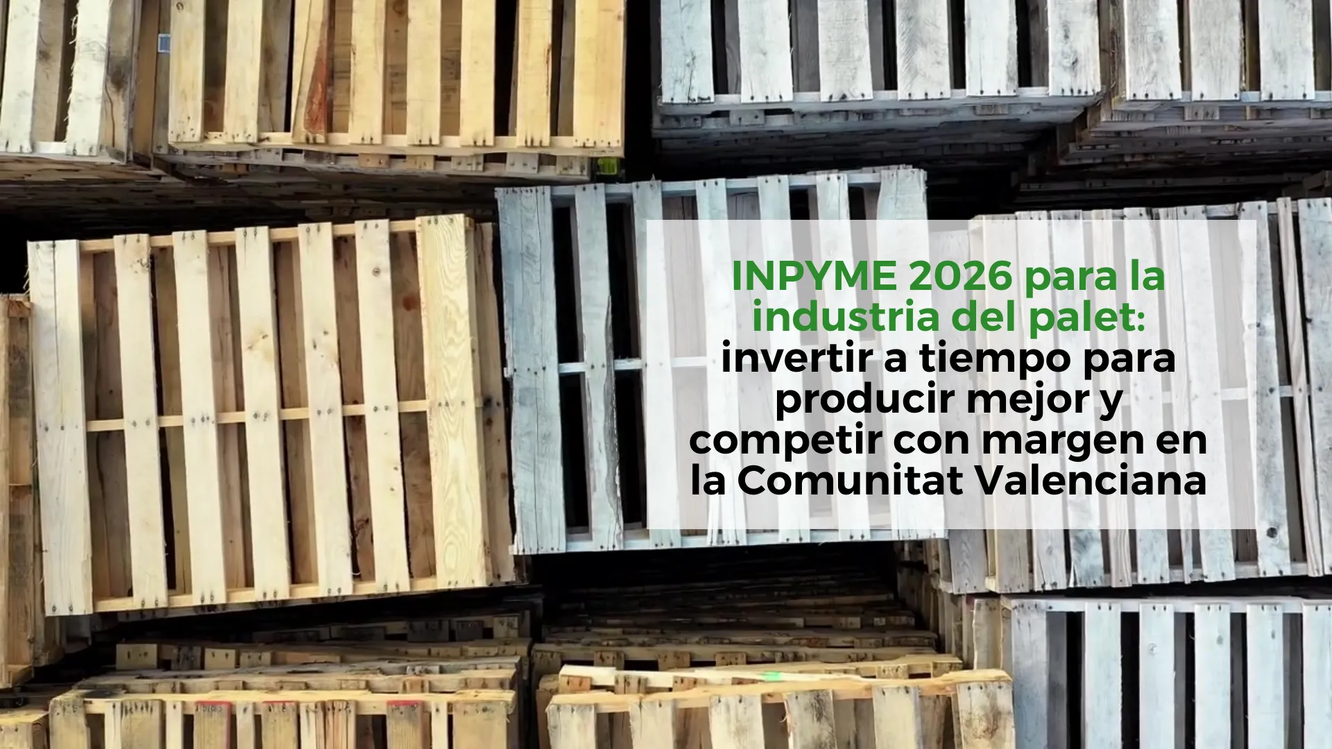INPYME-2026-para-la-industria-del-palet:-invertir-a-tiempo-para-producir-mejor-y-competir-con-margen-en-la-Comunitat-Valenciana